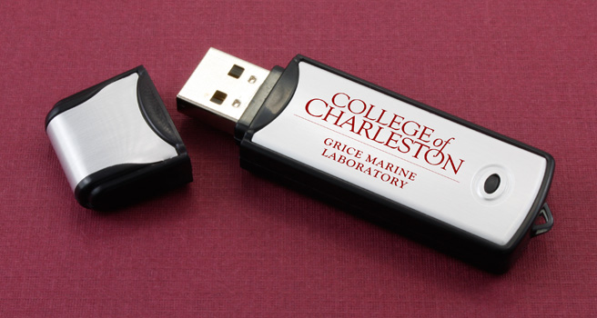Hid Portable Usb Memory