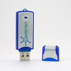 Hid Promotional Usb Flash Drives