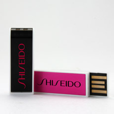 Push Unique Flash Drives