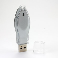 Wasp Thumb Drives