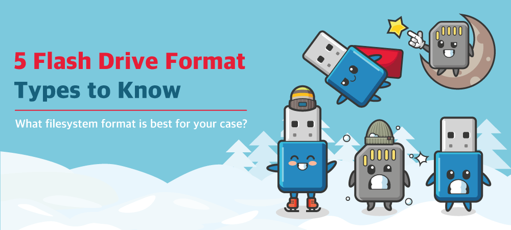 5 Flash Drive Format Types to Know