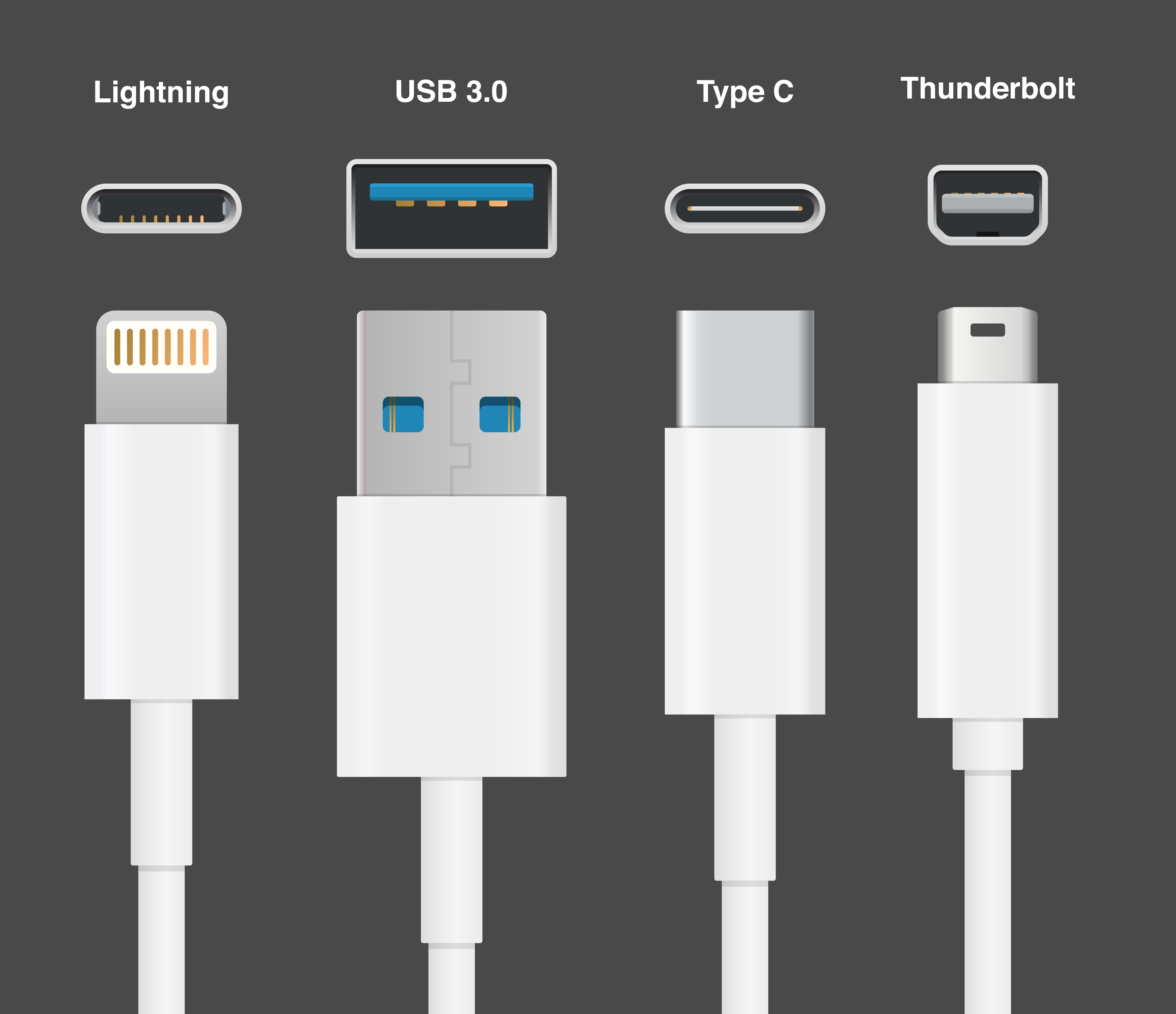 Mikroprocessor Woods Demokratisk parti Thunderbolt 3 vs USB C: Understanding the Difference and What it Means