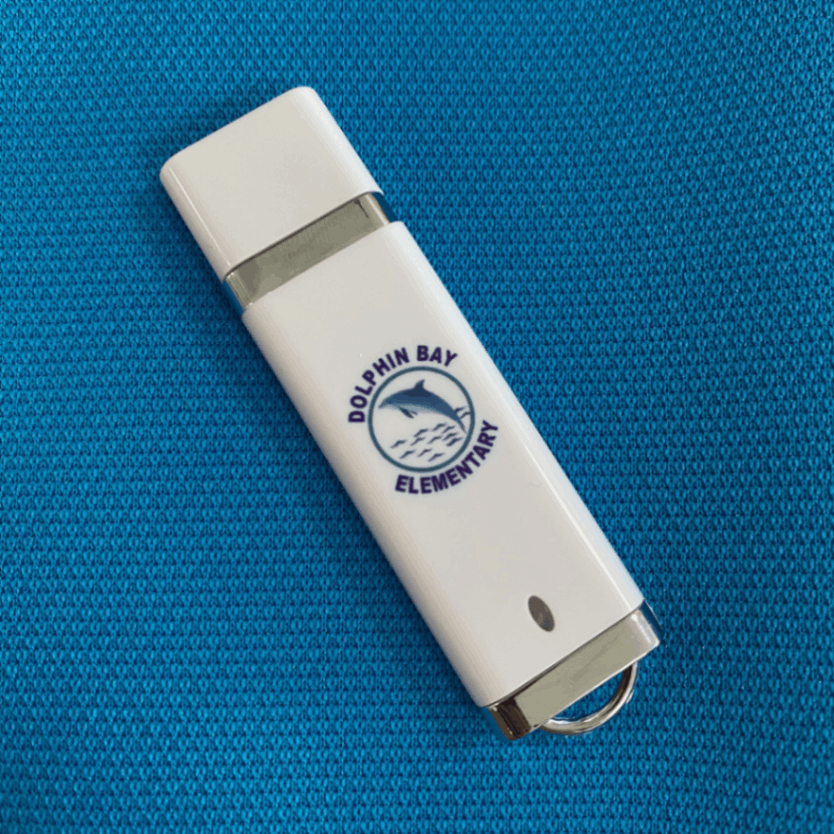 Custom Flash Drives For School