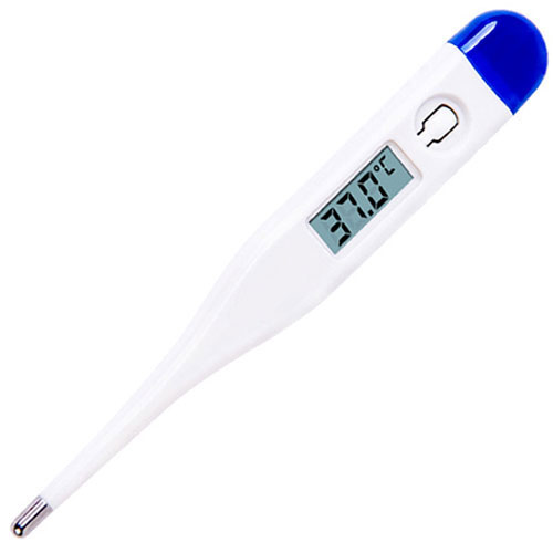 Digital Oral Thermometer 2