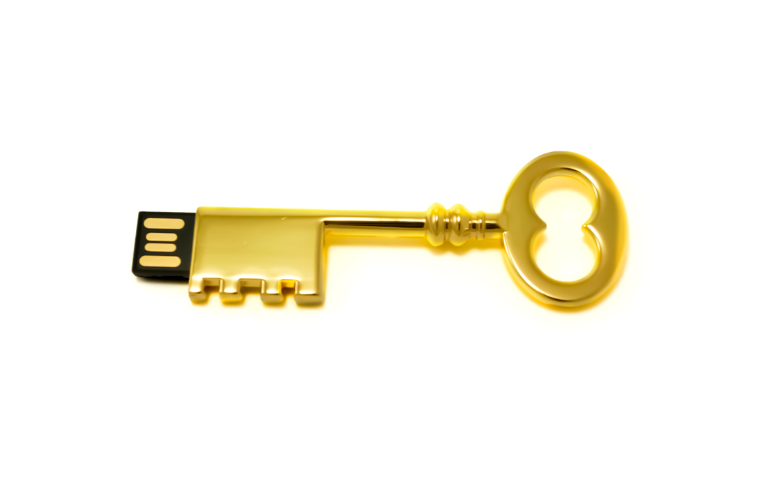 Gold Key Custom USB Flash Drive
